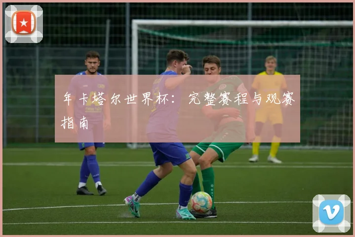 年卡塔尔世界杯：完整赛程与观赛指南
