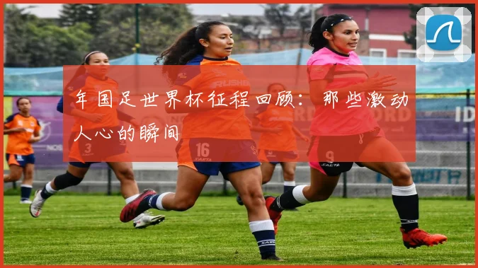 年国足世界杯征程回顾：那些激动人心的瞬间