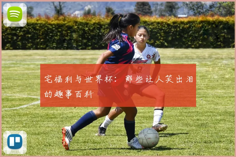宅福利与世界杯:那些让人笑出泪的趣事百科