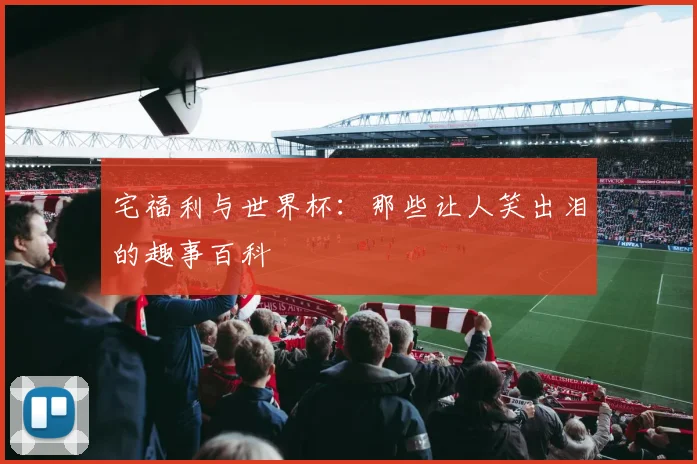宅福利与世界杯:那些让人笑出泪的趣事百科