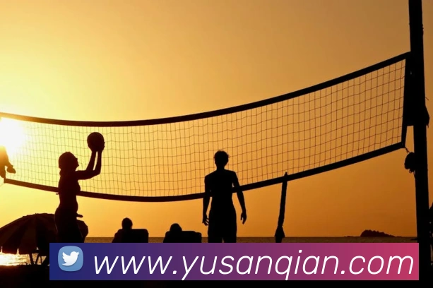 开云手机网页入口全站App